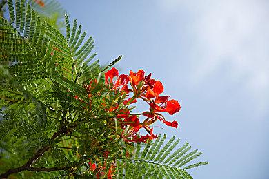 《脑航员2》发布上市宣传片 今日发售首日加入XGP 